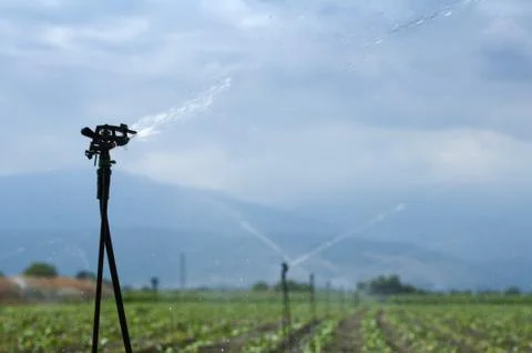 Irrigation Stock Photos