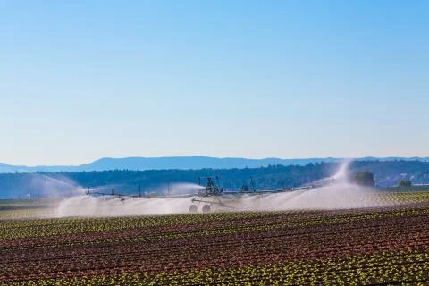 Irrigation Stock Photos
