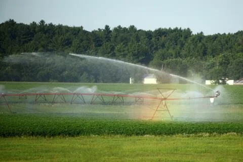 Irrigation Stock Photos