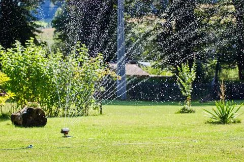 Irrigation Stock Photos