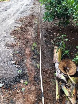 Irrigation Stock Photos