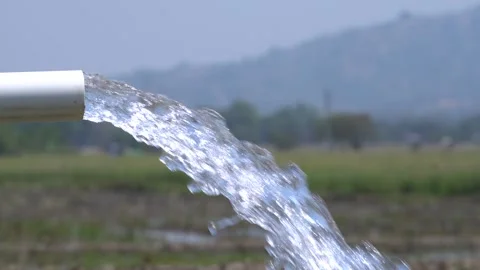 Irrigation pipe gushing clear water into lush green rice field on sunny day. Video stock 340719882