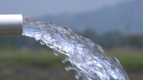 Irrigation pipe gushing clear water into lush green rice field on sunny day. Stock Footage 340720017