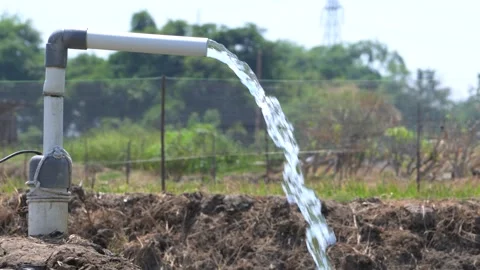 Irrigation pipe gushing clear water into lush green rice field on sunny day. Video stock 340738403