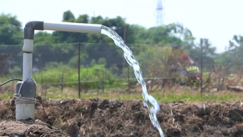 Irrigation pipe gushing clear water into lush green rice field on sunny day. Stock Footage 340739349