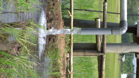 Irrigation pipe gushing clear water into lush green rice field on sunny day. Video stock 340746700