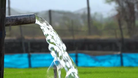 Irrigation pipe gushing clear water into lush green rice field on sunny day. Stock Footage 341804659
