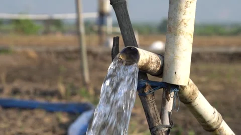 Irrigation pipe gushing clear water into lush green rice field on sunny day. Stock Footage 341805238