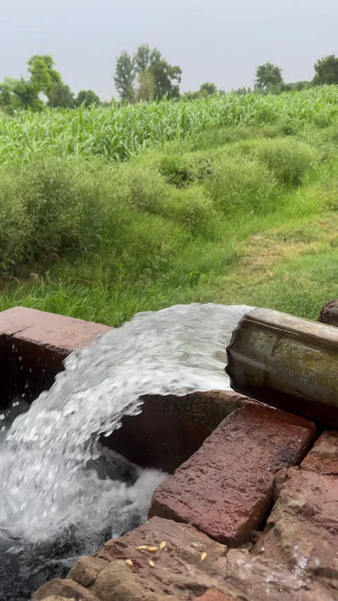 Irrigation Pipe Water Flow in Field 動画素材 337571389