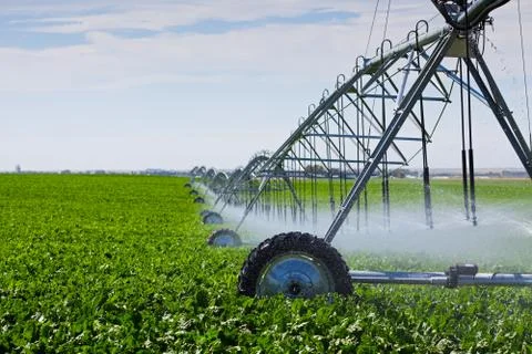 Irrigation pivot Stock Photos