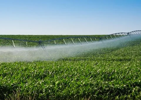 Irrigation Pivot Stock Photos