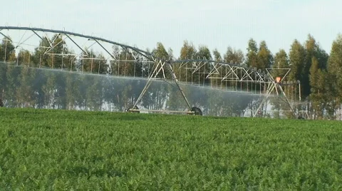 Irrigation pivot spraying water Stock Footage 119576