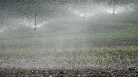Irrigation pivot system sprinklers. Spraying water, slow motion Stock Footage 169365439
