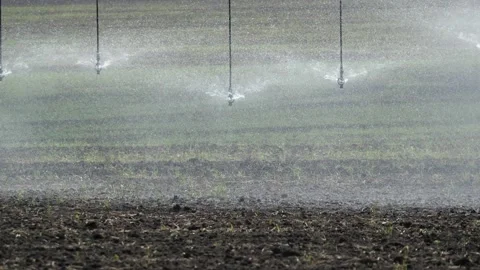 Irrigation pivot system sprinkling water, slow motion Stock Footage 169363785