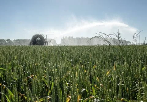 Irrigation pivot watering the Fields Stock Photos