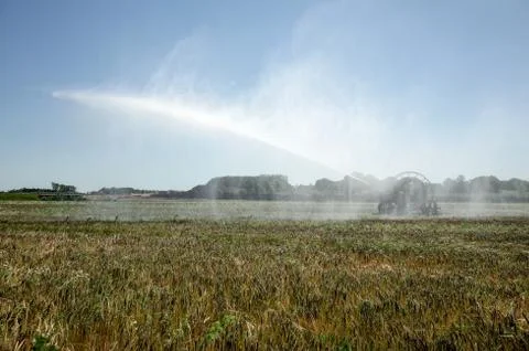 Irrigation pivot watering the Fields Stock Photos