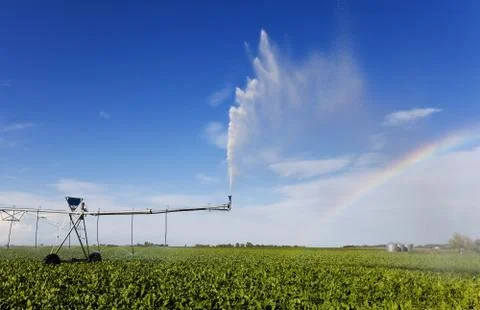 Irrigation rainbow Stock Photos