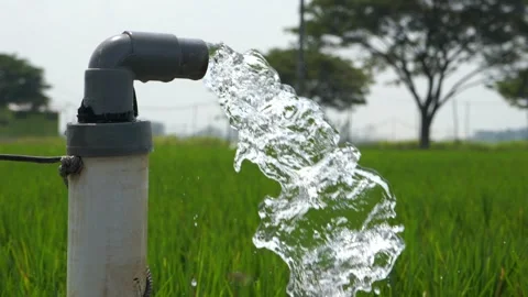 Irrigation of rice fields using pump. Stock Footage 283249095