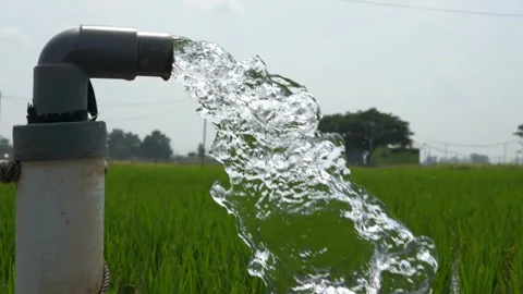 Irrigation of rice fields using pump. Stock Footage 283250800