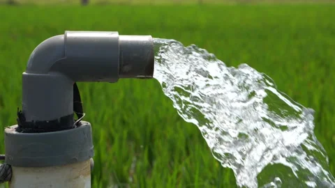 Irrigation of rice fields using pump. Stock Footage 283251387