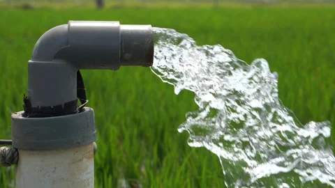 Irrigation of rice fields using pump. Stock Footage 283251614
