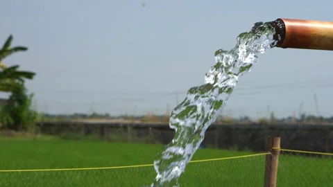 Irrigation of rice fields using pump. Vídeos de archivo 331840497
