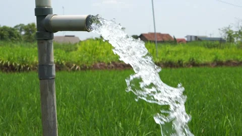 Irrigation of rice fields using pump. Vídeos de archivo 331840514