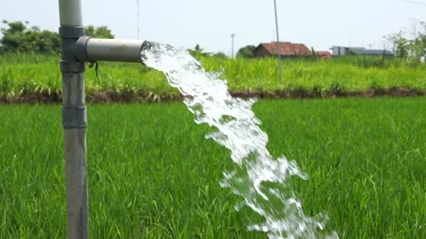 Irrigation of rice fields using pump. Stock Footage 331840516