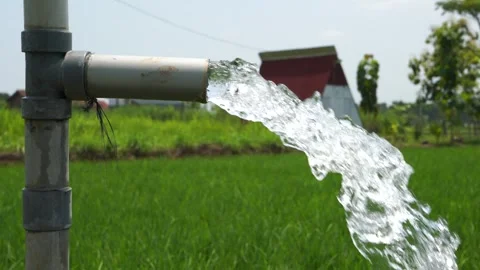 Irrigation of rice fields using pump. Vídeos de archivo 331841065