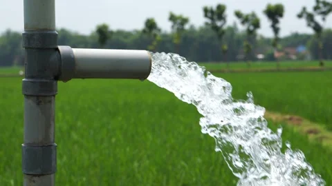 Irrigation of rice fields using pump. 库存影片 331841701