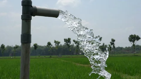 Irrigation of rice fields using pump. Vídeo Stock 331841753