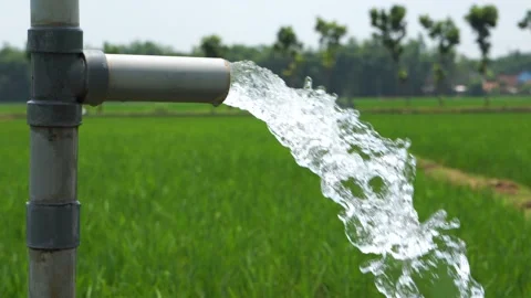 Irrigation of rice fields using pump. Vídeos de archivo 331841906