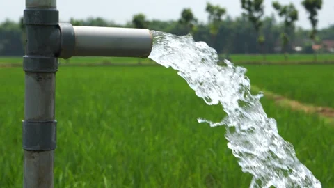 Irrigation of rice fields using pump. 库存影片 331841926