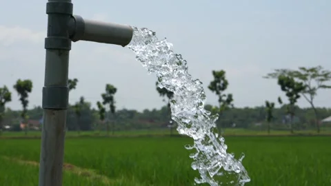 Irrigation of rice fields using pump. Vídeo Stock 331842032