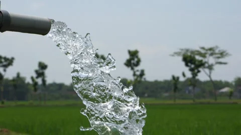 Irrigation of rice fields using pump. Vídeos de archivo 331842044