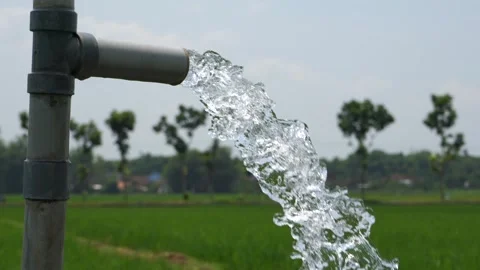 Irrigation of rice fields using pump. Stock Footage 331842259