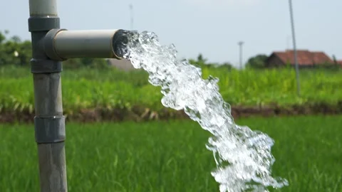 Irrigation of rice fields using pump. Vídeos de archivo 331842321