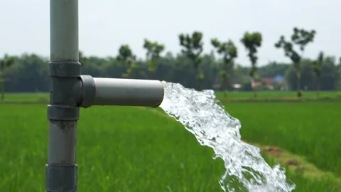 Irrigation of rice fields using pump. 库存影片 331842398