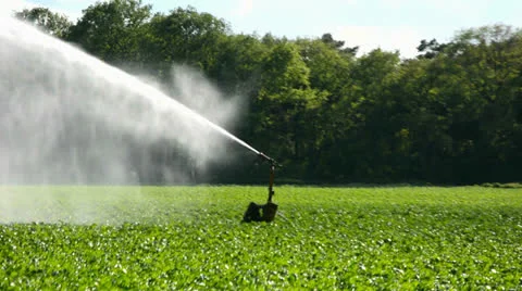 Irrigation in slow motion Stock Footage 24720050
