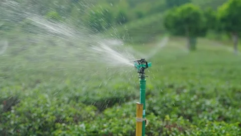 Irrigation Spray System in Green Fields, Watering Crops with Sprinkler Tech.. Stock Footage 334042962
