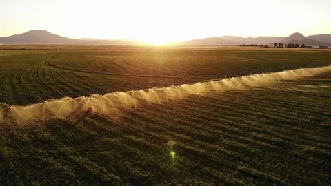 Irrigation Sprayer on Farm with Back Lit Water and Sun Flare - Aerial Drone Video stock 115015286
