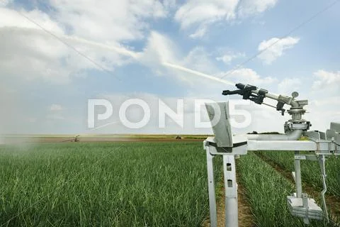 Irrigation Sprays On Field Plant Crop Due To Prolonged Drought, Rilland,