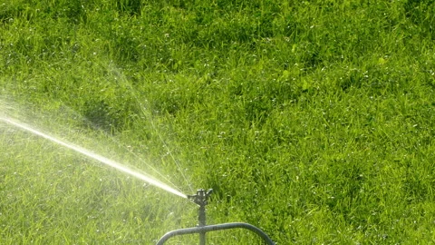 Irrigation by sprinkler. 4k Resolution. Stock Footage 252088260