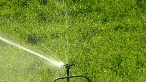 Irrigation by sprinkler. 4k Resolution. Time lapse. Stock Footage 252087816
