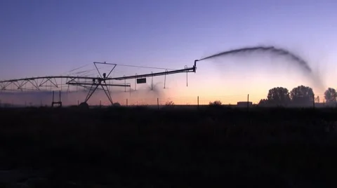 An irrigation sprinkler at daybreak Stock Footage 42128599