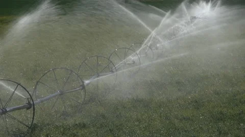 Irrigation Sprinkler Stock-Footage 8991585