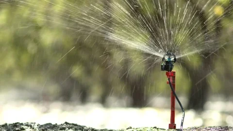 Irrigation sprinkler Stock Footage 85293019