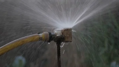 Irrigation with Sprinkler Stock Footage 157607231