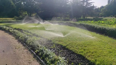 Irrigation sprinkler Stock Footage 291875820