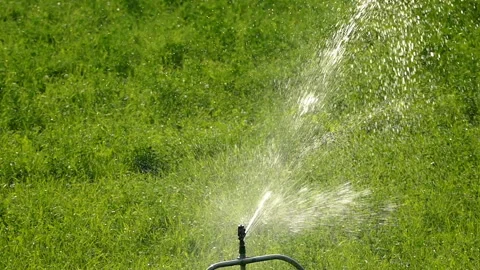 Irrigation by sprinkler. Slow Motion. Stock Footage 252087715